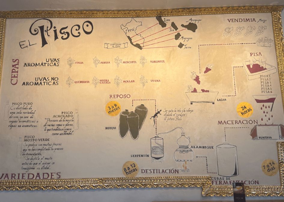 Pisco: How it's Made